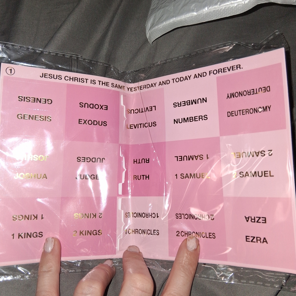 Pink Bible Book Tabs